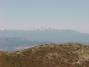 Los Pirineos (Canig�) vista desde el Tur� de l'Home